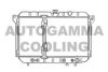 AUTOGAMMA 100599 Radiator, engine cooling